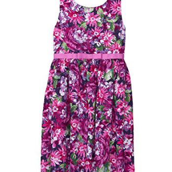 Gymboree Girls’ Little Sleveless Wildflower Dress