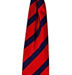 Fore Axel Hudson Boys Navy Red Necktie 0