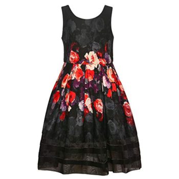 Bonnie Jean Little Girls Black Shade Red Flower Print Sleeveless Dress 4-6X