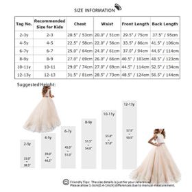 FYMNSI LittleBig Girls Flower Lace Princess Applique Dress Pageant Party Wedding Birthday Communion Tulle Prom Gown 2 13T 0 5
