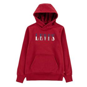 Levis Boys Graphic Pullover Hoodie 0