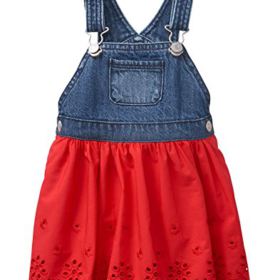 Gymboree Baby Girls Denim Eyelet Dress 0