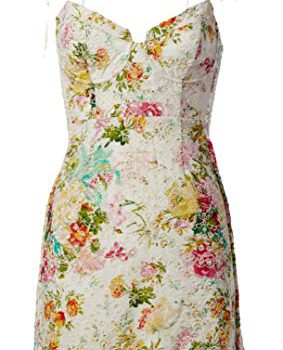 ASTR the label Ladies’s Sleeveless Sweetheart Neckline Fitted Mireille Mini Costume